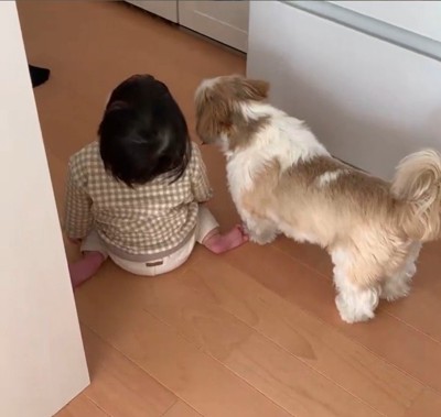 コロくんと赤ちゃんのシンクロ