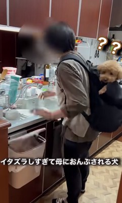 はてなマークが浮かぶバッキーくん