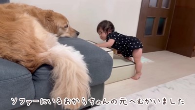 いそいそとソファに向かって…