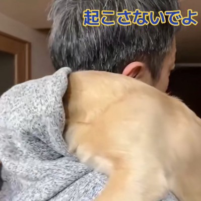 抱っこされたまま男性のパーカーのフードに顔を突っ込んで寝るミニチュアダックスフンド