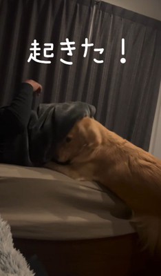 ママの声で目覚めた！！