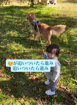 カメラ目線の男の子