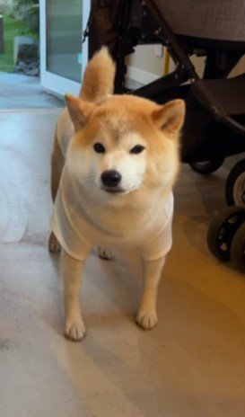 「あんまり気が向かないんだけど…」