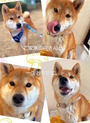 素敵な笑顔に涙…