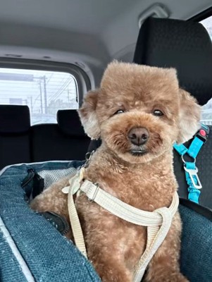 まさかの角刈りに!!