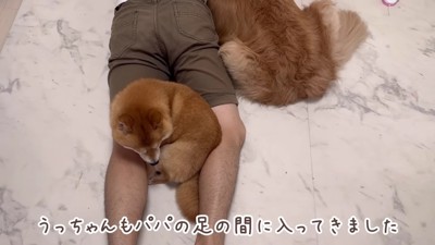 うにくんも集合!!