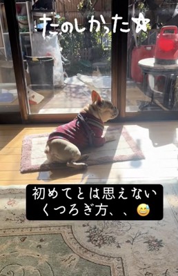 楽しみ尽くしました