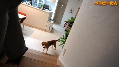 お仕事をしに2階へ