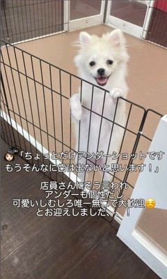 受け口が可愛いぱんちちゃん2