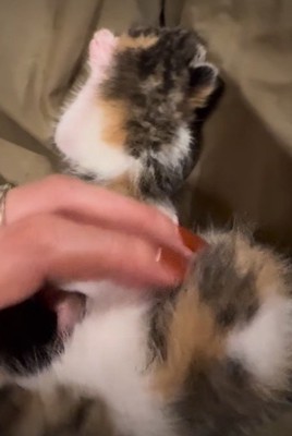 飲まず食わずで閉じ込められていた
