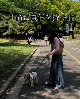 散歩するまるるちゃん