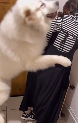 まるでプロレス!!