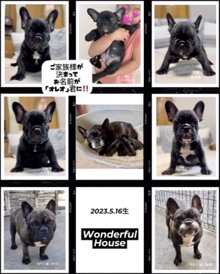 新しいおうちへ