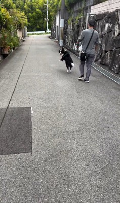 おじさんとお散歩中のルナちゃん6