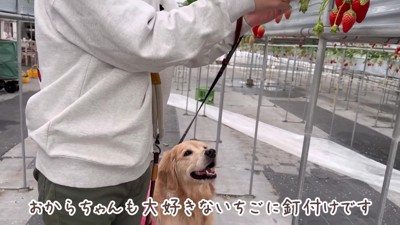 目をキラキラさせるおからちゃん