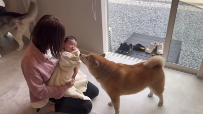 おもちくんは…