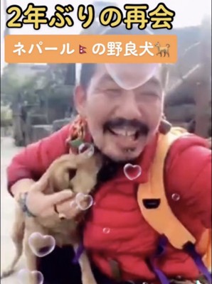 あごをなめる犬