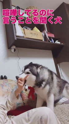 飼い主の指の上に口を乗せる犬