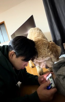 弟みたいなはうるくん