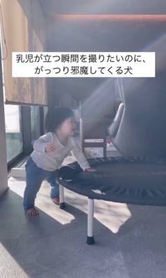 きぬちゃんと立つ練習中の赤ちゃん2