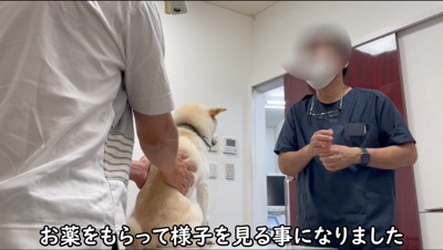 診察台に乗せられた犬と、獣医に薬の説明をされる飼い主