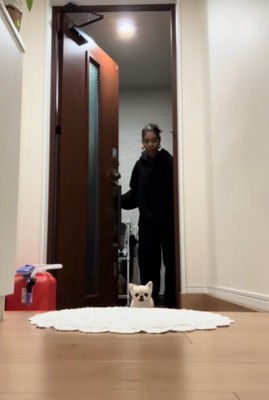 先手を打ったのは…