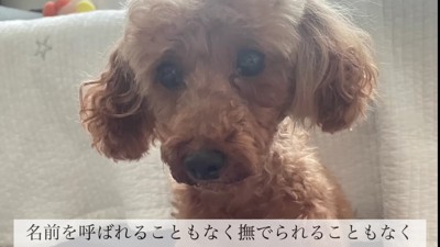 名前も呼ばれない生活…