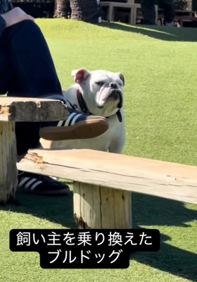 横目で見るぱせり君