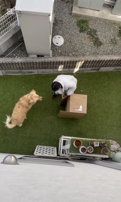 イリュージョン大成功