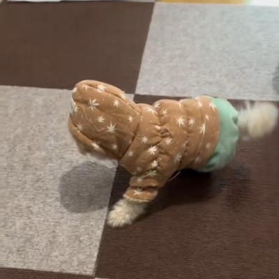 初めての服に挑戦!!