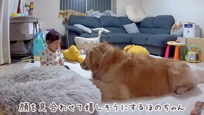 おからちゃんを発見!