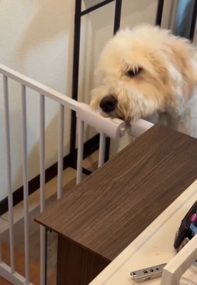 扉を開けたソラくん