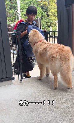 帰ってきた長男と大型犬