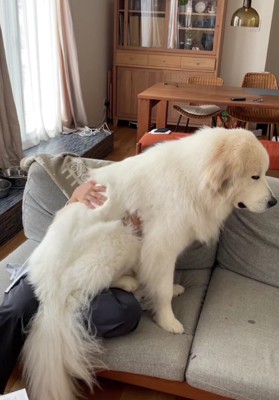 ほとんどはみ出ていても気にしない