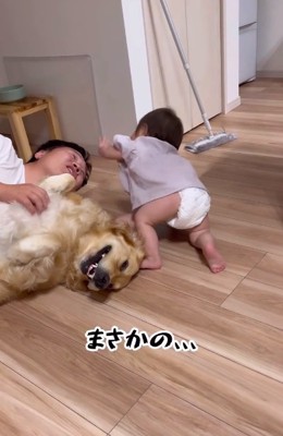 パパを撫でようとする赤ちゃん