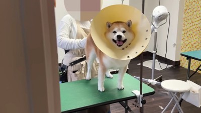 文句を言いながら乾く…