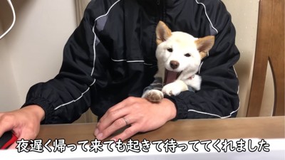 あくびをする犬