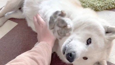 甘える姿がカワイイ…♡