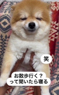 なぜかおやすみモードに…