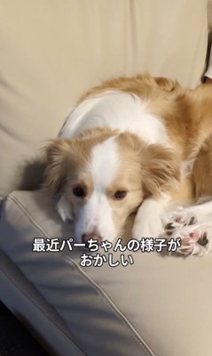 様子がおかしい…