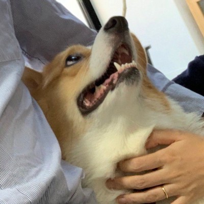 自撮りしてみたら…