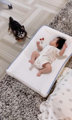 すずちゃんと赤ちゃん⑩