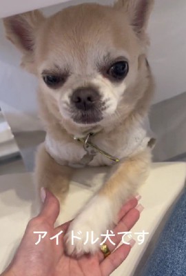 これからも幸せにね♡