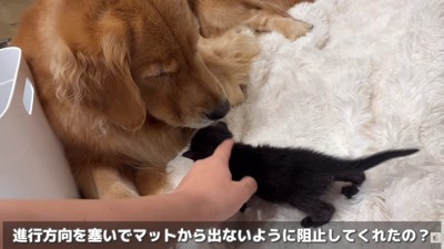ときにはボディーガードとして活躍