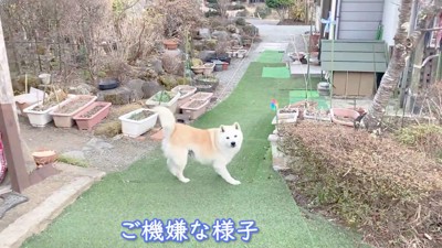 いつまでも笑顔でね