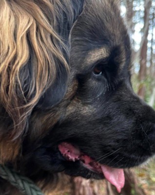 熊に間違われた！！