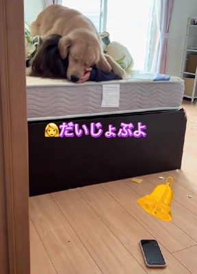 娘さんを起こすそなちゃん