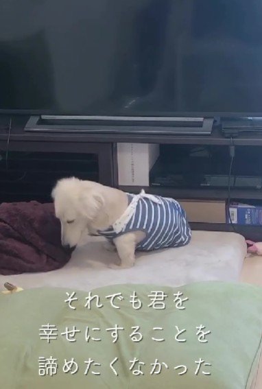 それでも、幸せにしてあげたい…