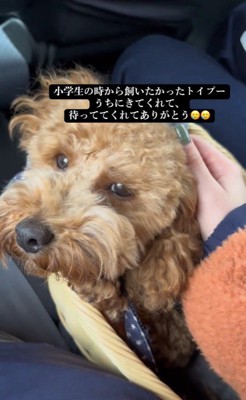 アルくんとの出会い8