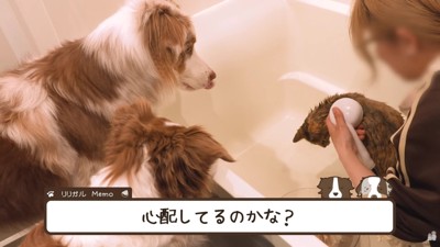 「本当に大丈夫？嫌がってない？」